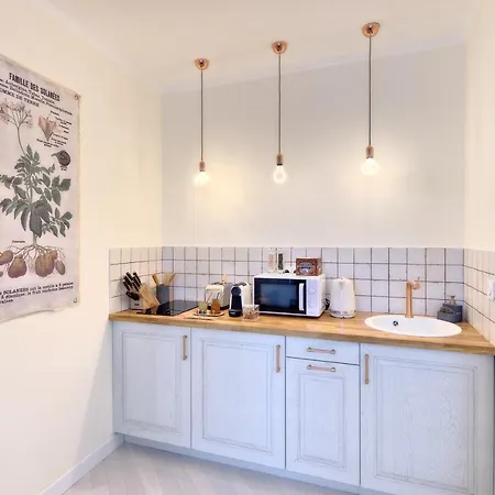 The Charming Luxembourg Garden